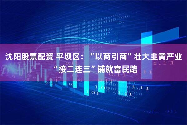 沈阳股票配资 平坝区：“以商引商”壮大韭黄产业 “接二连三”铺就富民路